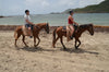 Horseback Riding - Gems of St. Lucia