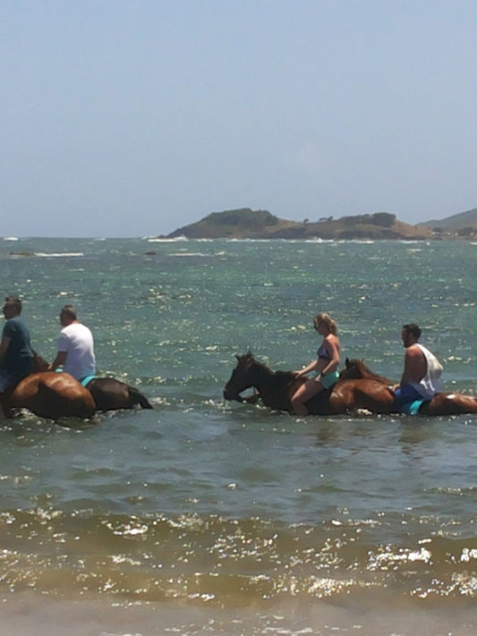 Horseback Riding - Gems of St. Lucia