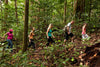 Jacquot Hiking Trail - Gems of St. Lucia