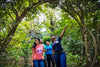 Jacquot Hiking Trail - Gems of St. Lucia